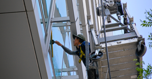 Commercial window cleaner on a stage system, extending a squeegee to clean windows on a tall building.